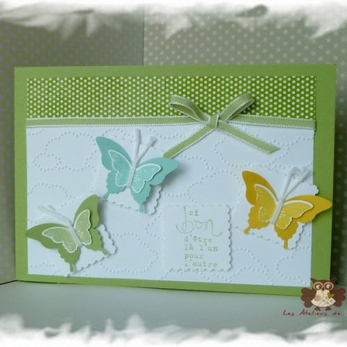 Encore des papillons