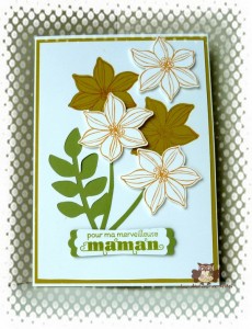 Lire la suite à propos de l’article Fête des mamans…