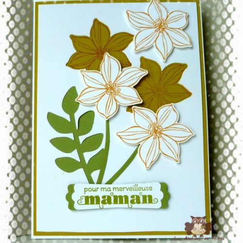 Fête des mamans…