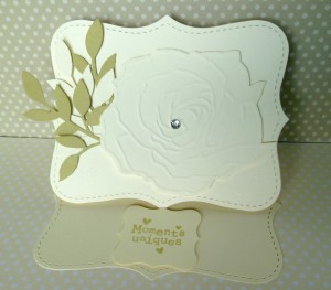 Lire la suite à propos de l’article Moments uniques …