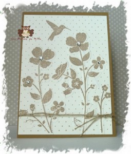 Lire la suite à propos de l’article Un peu de patience….