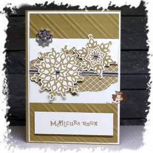 Lire la suite à propos de l’article Echanges de vœux entre démonstratrices…