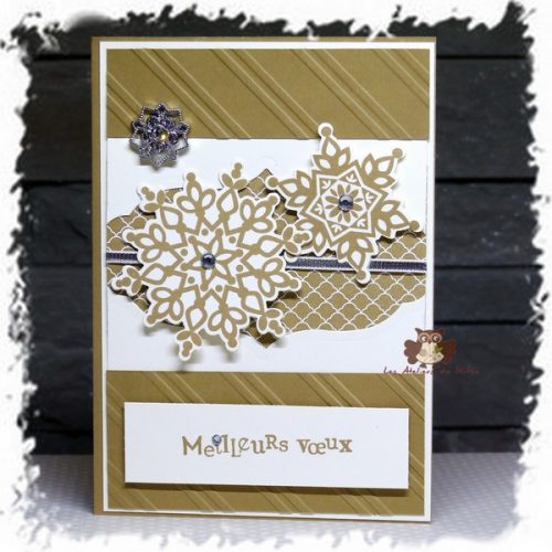 Echanges de vœux entre démonstratrices…