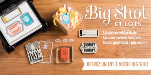 Lire la suite à propos de l’article Promotion du mois d’août !!!!