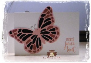 Lire la suite à propos de l’article Une autre manière de créer des papillons …