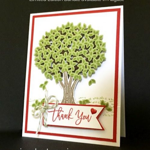 Plus qu’une journée pour “Entre les branches”