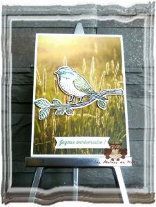 Lire la suite à propos de l’article Encore un essai…