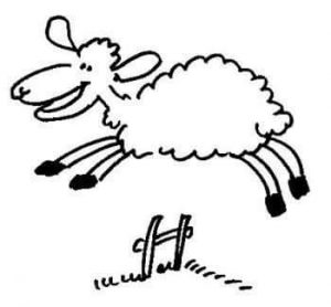 Lire la suite à propos de l’article Blog-Hop de la lignée de N@th.