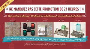 onlineex_flash-shareable_nov2116_fr