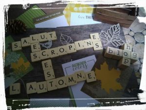 Lire la suite à propos de l’article Blog HOP…