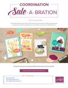 Lire la suite à propos de l’article Coordination Sale-A-Bration…