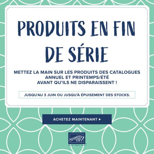 Les articles en fin de série chez Stampin Up! c’est parti…