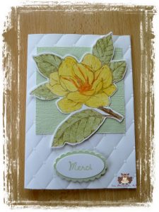 Lire la suite à propos de l’article Les Magnolias…