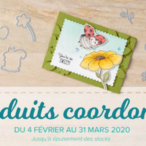 Produits coordonnés