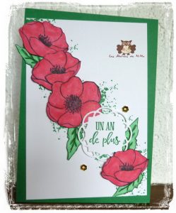 Lire la suite à propos de l’article Coquelicots …