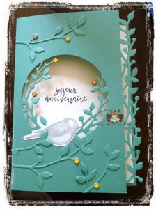 Lire la suite à propos de l’article Univers d’oiseaux…