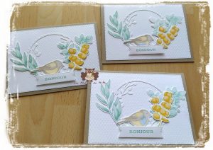 Lire la suite à propos de l’article Des oiseaux…