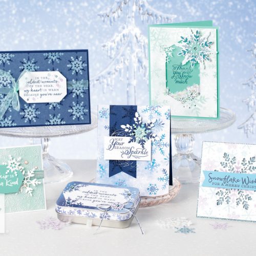 Découvrez deux des nouvelles collections…