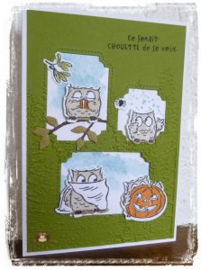 Lire la suite à propos de l’article Des chouettes chouettes…