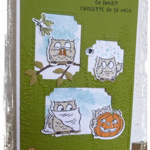 Des chouettes chouettes…