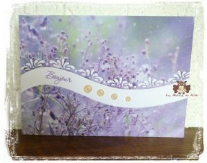 Lire la suite à propos de l’article Du beau papier, une découpe…