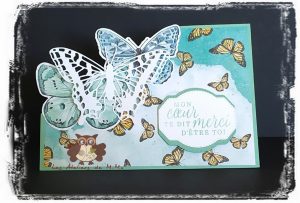 Lire la suite à propos de l’article Des papillons… encore et toujours