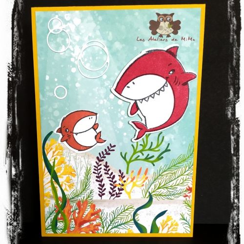 Des drôles de requins…