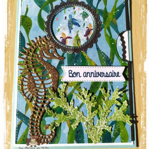 Des tortues qui dansent…