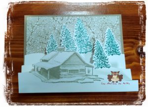 Lire la suite à propos de l’article Un “Zoom” entre scropines…