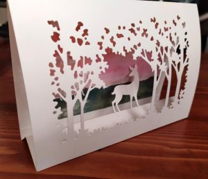 Lire la suite à propos de l’article Nouveaux horizons…