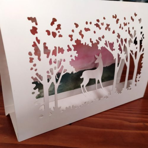 Nouveaux horizons…