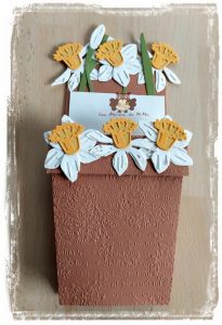 Lire la suite à propos de l’article Des fleurs…en pot