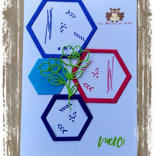 Les In Color 2022-2024…