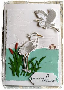 Lire la suite à propos de l’article Avez-vous déjà admiré les hérons au bord de nos rivières ?