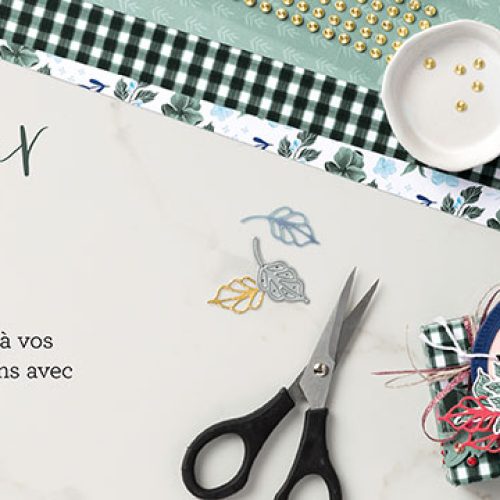 Les nouveautés de ce mois de novembre…