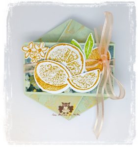 Lire la suite à propos de l’article Carte hexagonale