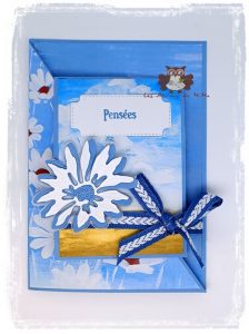 Lire la suite à propos de l’article Un modèle, deux cartes différentes…