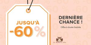 Lire la suite à propos de l’article Bientôt fini…